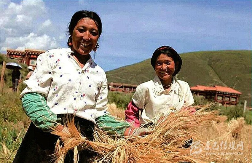 四川藏区：脱贫路上的幸福新生活