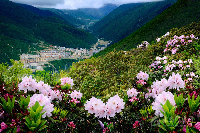 康定情歌风景区春光惹人醉