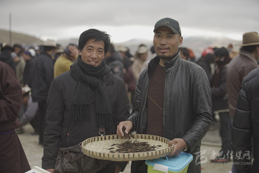 雪山掘金人草里淘金见从容