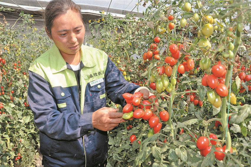 当地村民.jpg