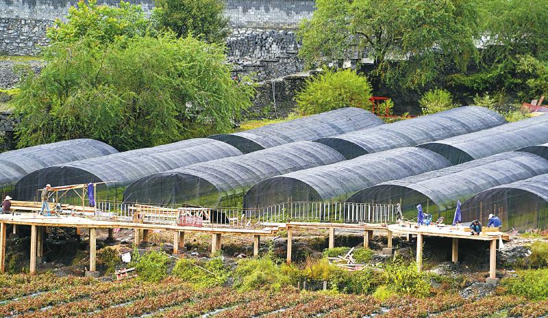 九龙县已初步.jpg