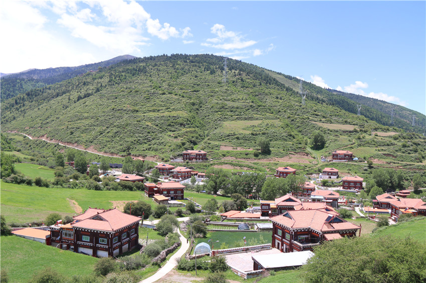 交纳村全.JPG
