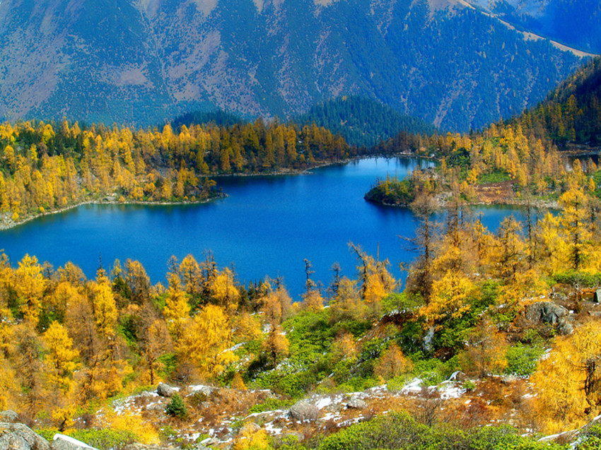 赏甘孜秋景 沐彩林盛宴